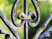 images/gates/Gate-garden-fence-4473094_1920.jpg